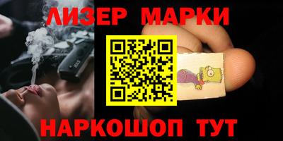 шишки Новодвинск