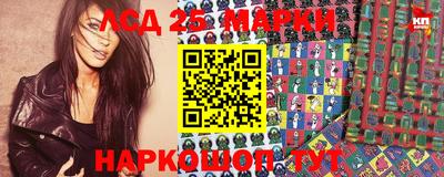 сатива Новозыбков