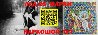 шишки Новодвинск