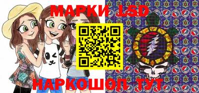 сатива Новозыбков
