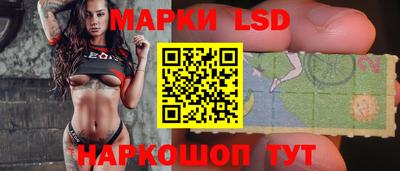 шишки Новодвинск