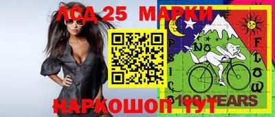 сатива Новозыбков