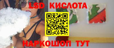 сатива Новозыбков