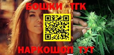 шишки Новодвинск