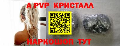 шишки Новодвинск