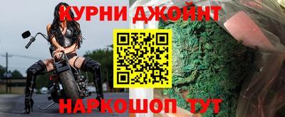шишки Новодвинск