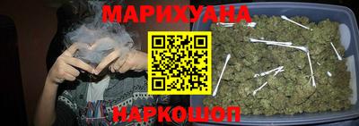 шишки Новодвинск