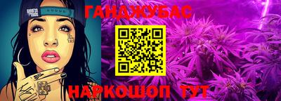 шишки Новодвинск