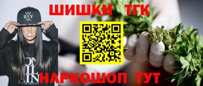 сатива Новозыбков