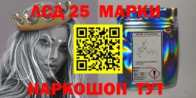 шишки Новодвинск