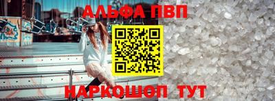 шишки Новодвинск