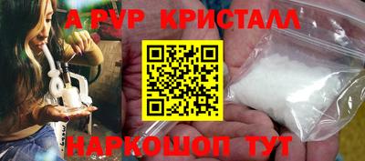 сатива Новозыбков