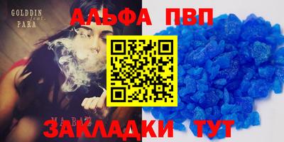 шишки Новодвинск