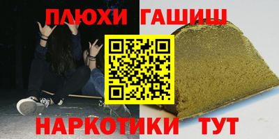 сатива Новозыбков