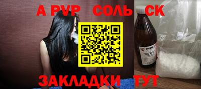 шишки Новодвинск