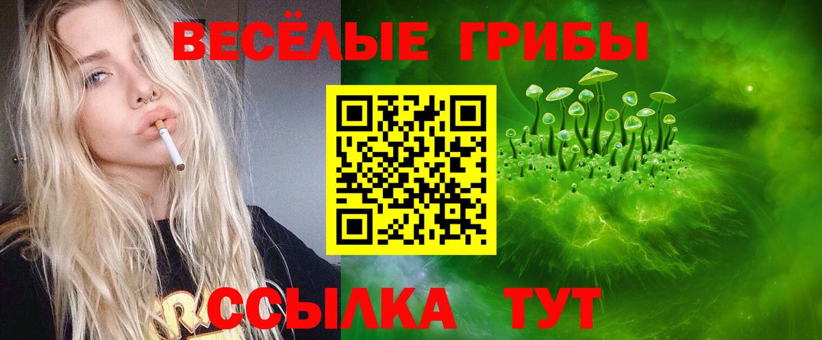 Галлюциногенные грибы мухоморы  Псилоцибиновые грибы Cubensis  Тосно  где купить наркоту  Вход с VPN 